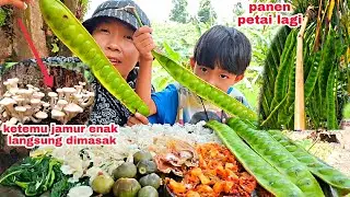 HUJAN PEMBAWAH BERKAH DAPAT JAMUR ENAK ,AMBIL PETAI DIPOHONNYA. 