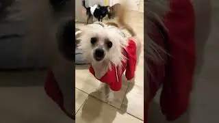 Спокойной ночи друзья 