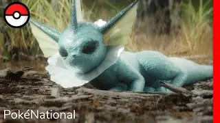 Did You Know... - Vaporeon | PokéNational