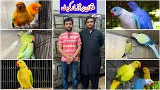 Multan Sunday Birds Rasheedabad latest Update 01 September 2024