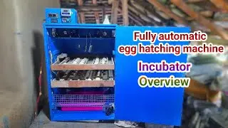 Egg Hatching Machine Plywood Incubator by Ap Tricks