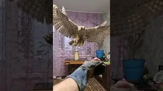 Кто это ??? 😱😱😱