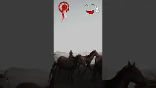 Awesome! Beautiful Herd of Horses Crossing a River! | Support Me!