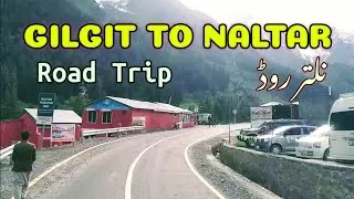 Gilgit To Naltar Road Trip | Gilgit Baltistan Pakistan | Mountain Road Naltar bisha | Hunza Nagar