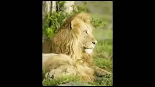 Нашид