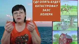 Где опять будет катастрофа? Судьба ЗАЭС. Холера. НАТО в Украине. Отступление россиян.
