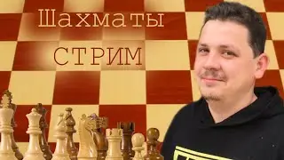 Ночные вертикальные шахматы #shorts