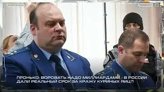 Пронько: Воровать надо миллиардами. В России дали реальный срок за кражу куриных яиц?!