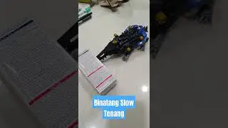 Binatang Paling Perlahan Di Galaksi