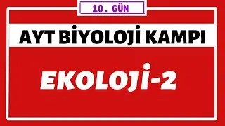 Ekoloji 2 | AYT BİYOLOJİ KAMPI | 10.gün |