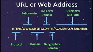 What is URL or Web Address
