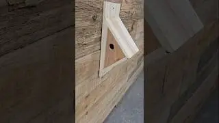 Diy 1 fence picket bird house #diy #woodworking #birdhouse