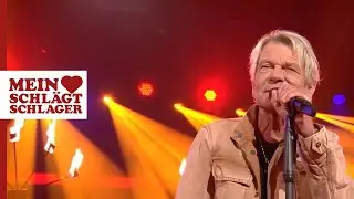 Matthias Reim - Echte Helden (Die große Schlagerüberraschung 2024)