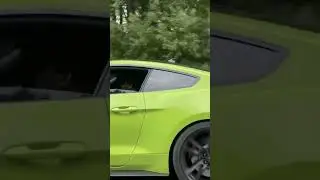 Shelby GT500 vs Hellcat Charger vs ZL1 🏎️🐍😺