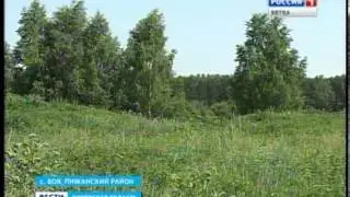 Повилика (ГТРК Вятка)
