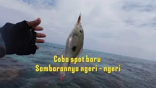 Spot raba-raba di karang dangkal sambarannya ngeri-ngeri || Ultraligh casting || Full strike