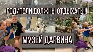 Почему у людей депрессия? Пора отдыхать не только детям😰 музей Дарвина в Москве