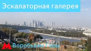 Эскалаторная галерея на Воробьёвых Горах