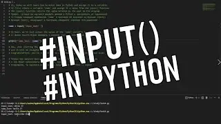 Function input data in Python