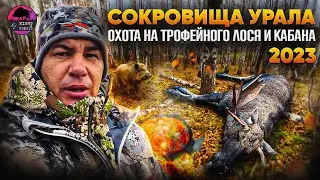 Охота для олигархов. Лось по 2000$, Кабан по 500$. 100 лосей за день.