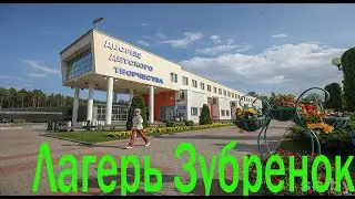 Обзор изнутри. Национальный детский центр Зубренок. Белорусский лагерь Артек. посёлок Зубренёвка