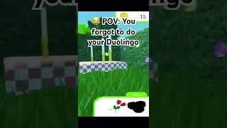 😂 POV: You forgot to do your Duolingo 