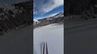 горные лыжи спуск по фану 🤙🤙🤙 #фрирайд