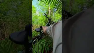 How did I crash my mtb?