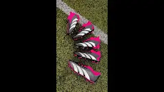EVERY Predator Accuracy from €300 to €65