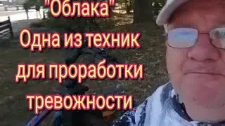 8 сентября 2022 г.