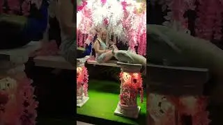 Павлины в Витязево Анапа #михаилволин #запискиславян