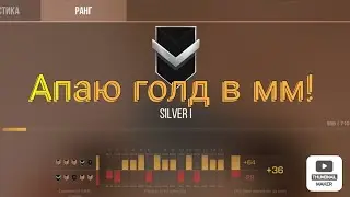 Апаю голда в ММ!
