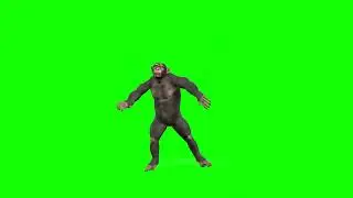 [4K] Dancing Monkey - Green Screen