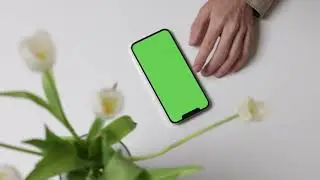 Copyright free Green screen mobile