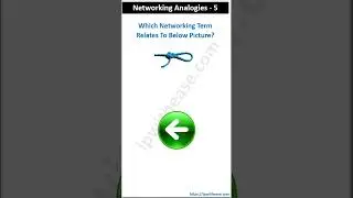 Network Analogies 5 