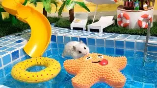 ХОМЯЧКОВЫЙ РЕЛАКС** НЕВОШЕДШИЕ КАДРЫ** МОРЕ СОЛНЦЕ и ХОМЯЧКИ
