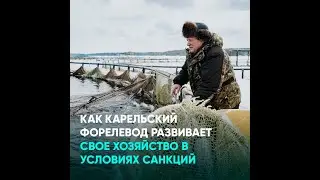 Как карельский форелевод развивает свое хозяйство в условиях санкций