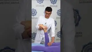 #массаж #massage #курсымассажа #анатомия #массажспины