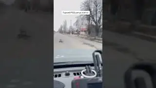 28 листопада 2024 р.