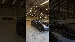 The Tesla Delivery Experience is WILD! 