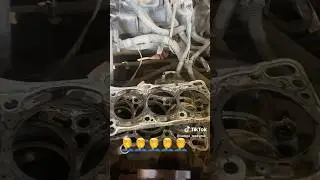 Замена маслосъемных колец Ниссан Альмера | Как заменить кольца на Nissan Almera 