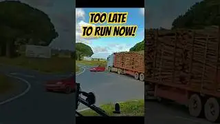 Little Car Tries to Stop a Truck… Bad Idea! 🚛💥😂 