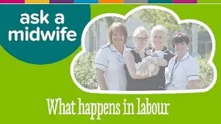 What Happens in labour and how to Cope - Ask a Midwife | Kiddicare