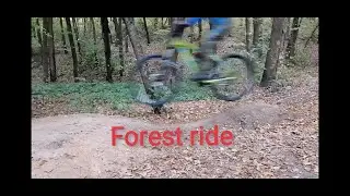 Forest ride - Flaška_Cz