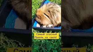 Мать года 🏆🥇! 