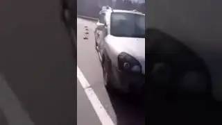 Противотанковые мины на дороге в Киевской области