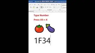 VEGETABLE symbol shortcut key in word computer shortcut key 