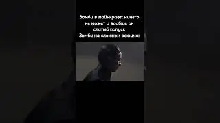 мем 