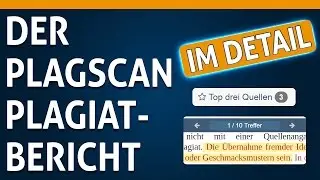 05 Der PlagScan Plagiatbericht im Detail