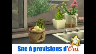 Présentation Du Mods Sac à Provisions d’Oni Les Sims 4